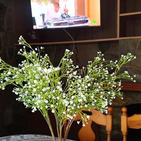 Big Penthouse Atico * トレビエハ